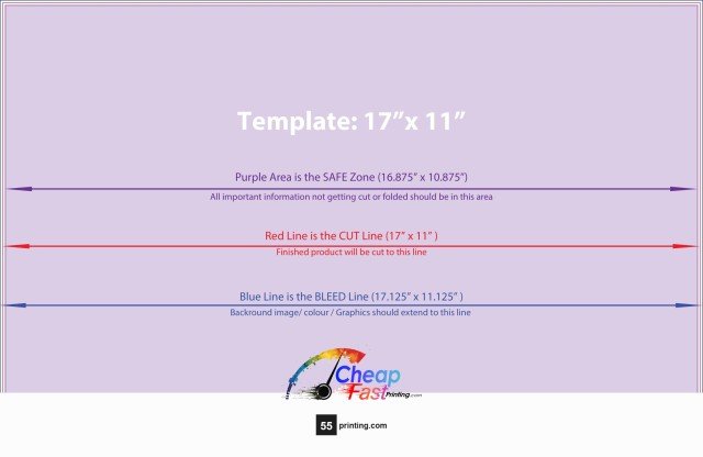 Canvas 11inx17in H guideline preview