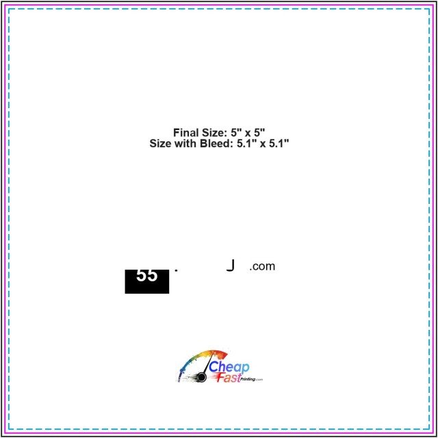 Cd Insert 5inx5in guideline preview