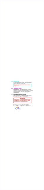Banner 3ftx13ft V Front guideline preview